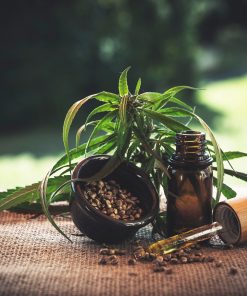 CBD Oil